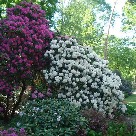 Kuestenwald - Igel 40 Eg Muritz