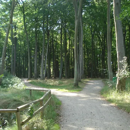 Kuestenwald - Igel 40 Eg 아파트