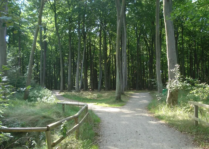 Kuestenwald - Igel 40 Eg 公寓